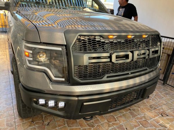 MASCARA TIPO RAPTOR - Imagen 2